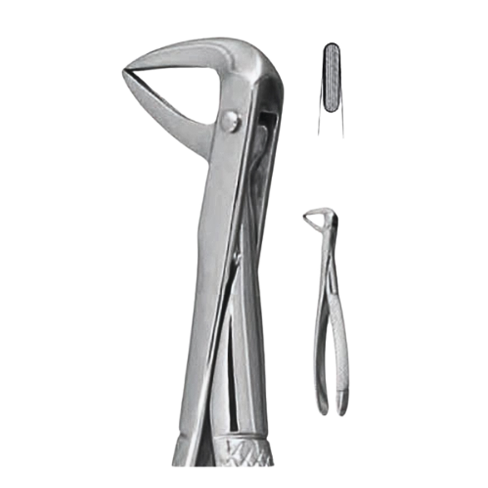 Best #74N English Pattern Extraction Forceps, 1/Pk | Net32