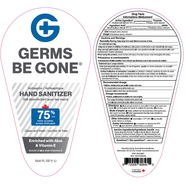 Germs Be Gone Hand Sanitizer Gel, 75% Ethyl Alcohol, 33.8 oz Pump ...