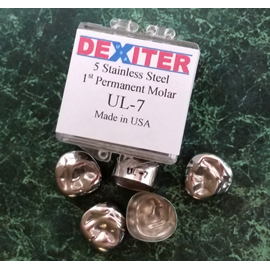 Dexiter #4 Upper Left 1st Primary Molar Stainless Dexiter #4 Upper Left 1st Primary Molar Stainless
