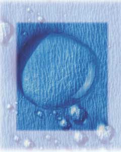 Crosstex 20" x 20" CSR Sterilization Wrap 100/Pk. Crosstex 20" x 20" CSR Sterilization Wrap 100/Pk.