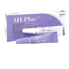 AH Plus endodontic Sealer, resin-based, radiopaqu AH Plus endodontic Sealer, resin-based, radiopaqu