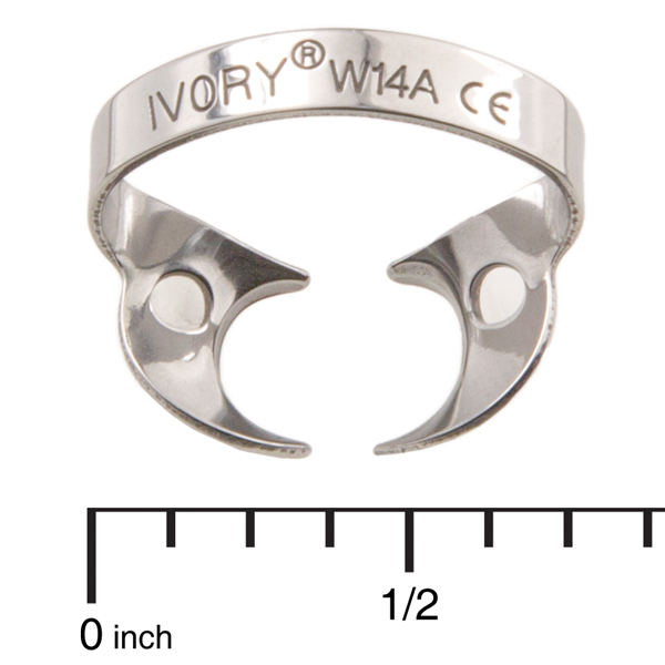 Ivory Clamps W14A Wingless Downward Sloped Jaws for Large, Partially