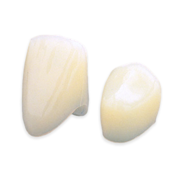 House Brand 69 Lower Anterior (Short) Polycarbonate Crown Form, Box of 5 Crown Net32