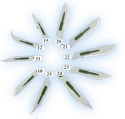 500PCS JMU Disposable Surgical Scalpel Blades Sterile Blades Stainless Steel