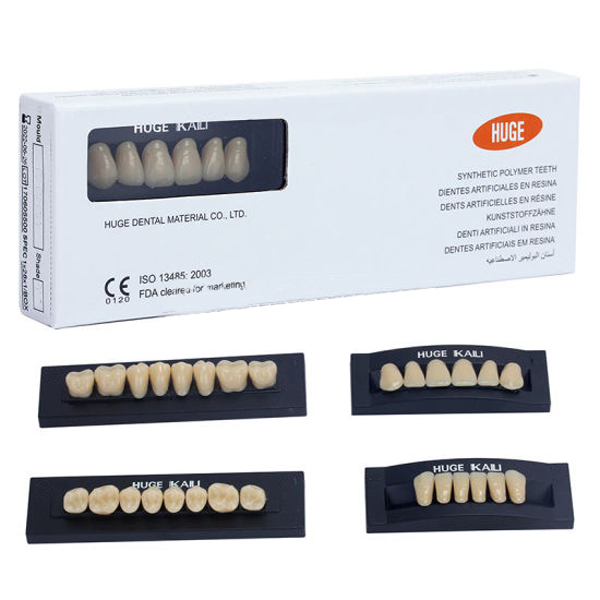 Kaili Synthetic Polymer Denture Teeth, T4/L4/30, Shade A1. 1 Full Set
