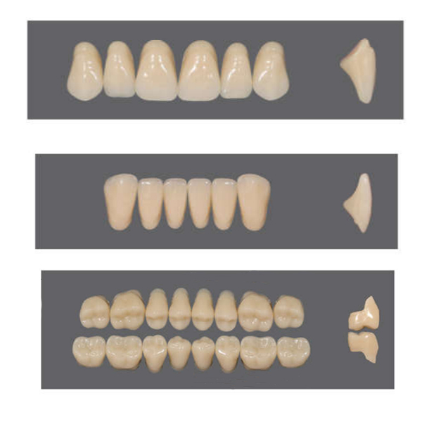 Kaili Synthetic Polymer Denture Teeth Shade A2. Full Set of 28 Teeth