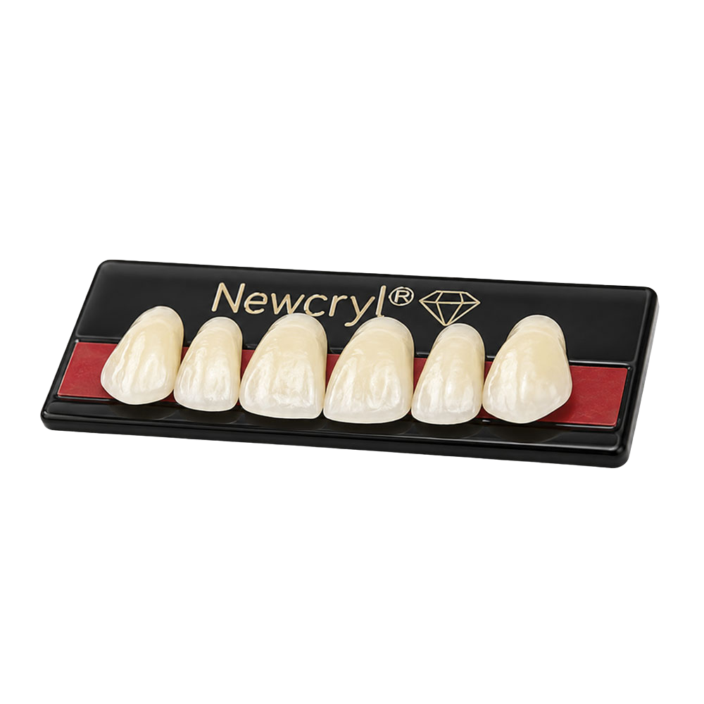 Newcryl Two-Layer Acrylic Resin Denture Teeth, Upper Anterior, Mould 3M ...