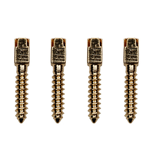Nivo Gold Screw Post L2, Dental Gold Plated Conical Cross Head Screw