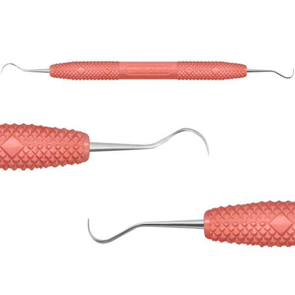 洋楽 TOOTHPIC SLIC DentSply Root ZX Endodontic Lip Clip (5/Pack) | eBay