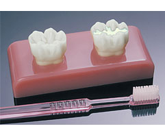 Practicon Large sealant demonstrator model, four Practicon Large sealant demonstrator model, four