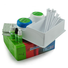 Prime-Dent Chemical Cure Composite Kit 15/15g wit Prime-Dent Chemical Cure Composite Kit 15/15g wit