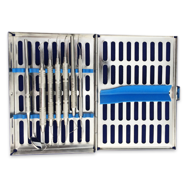 ProDent USA Prophy Set. Includes Net32