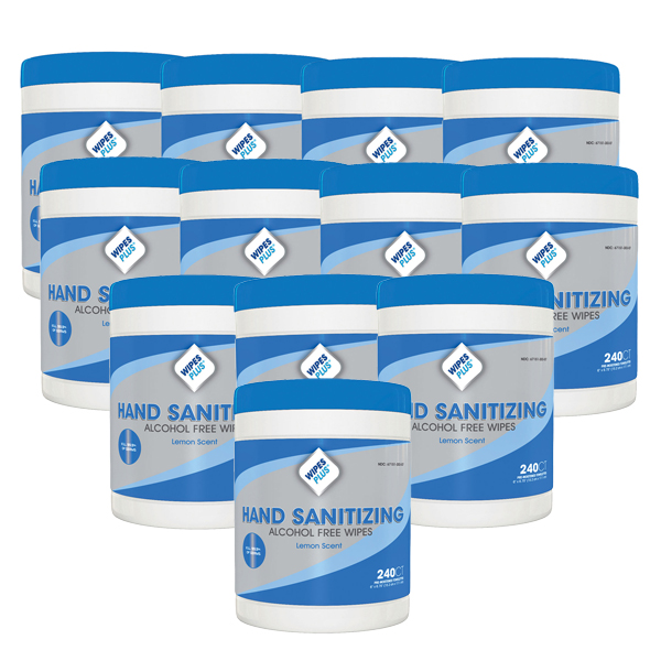 WipesPlus 6"x6.75" Alcohol Free Hand Sanitizing Wipes 12x 240