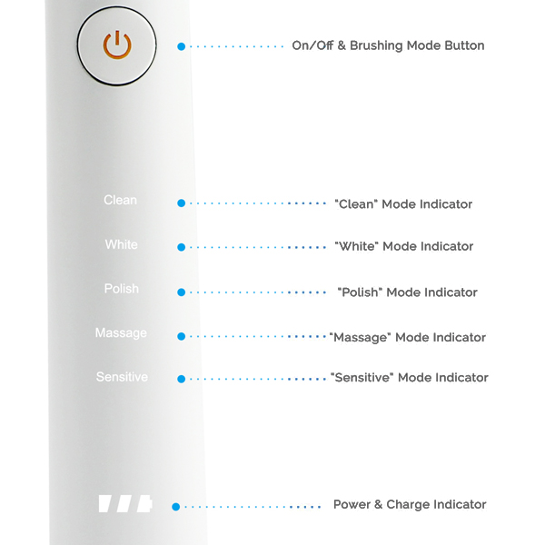 Vakker Sonic Electric Toothbrush with 2 Brush Hea Vakker Sonic Electric Toothbrush with 2 Brush Hea